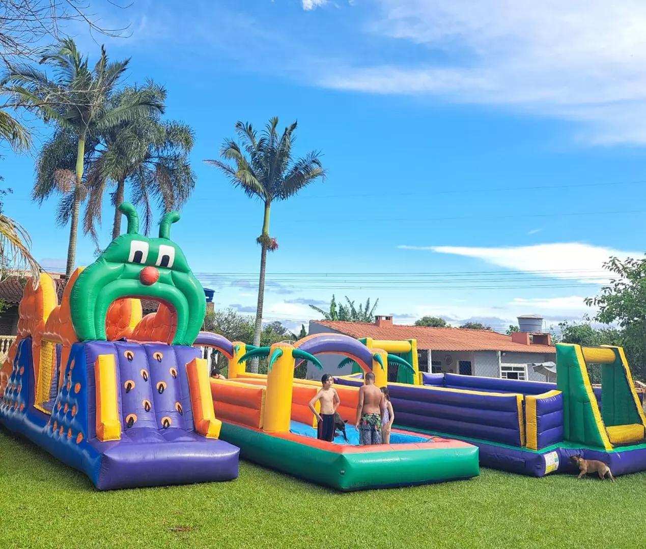 Brinquedos Aquaticos
